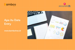 apa itu data entry