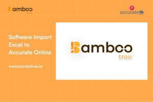 software import excel to accurate online